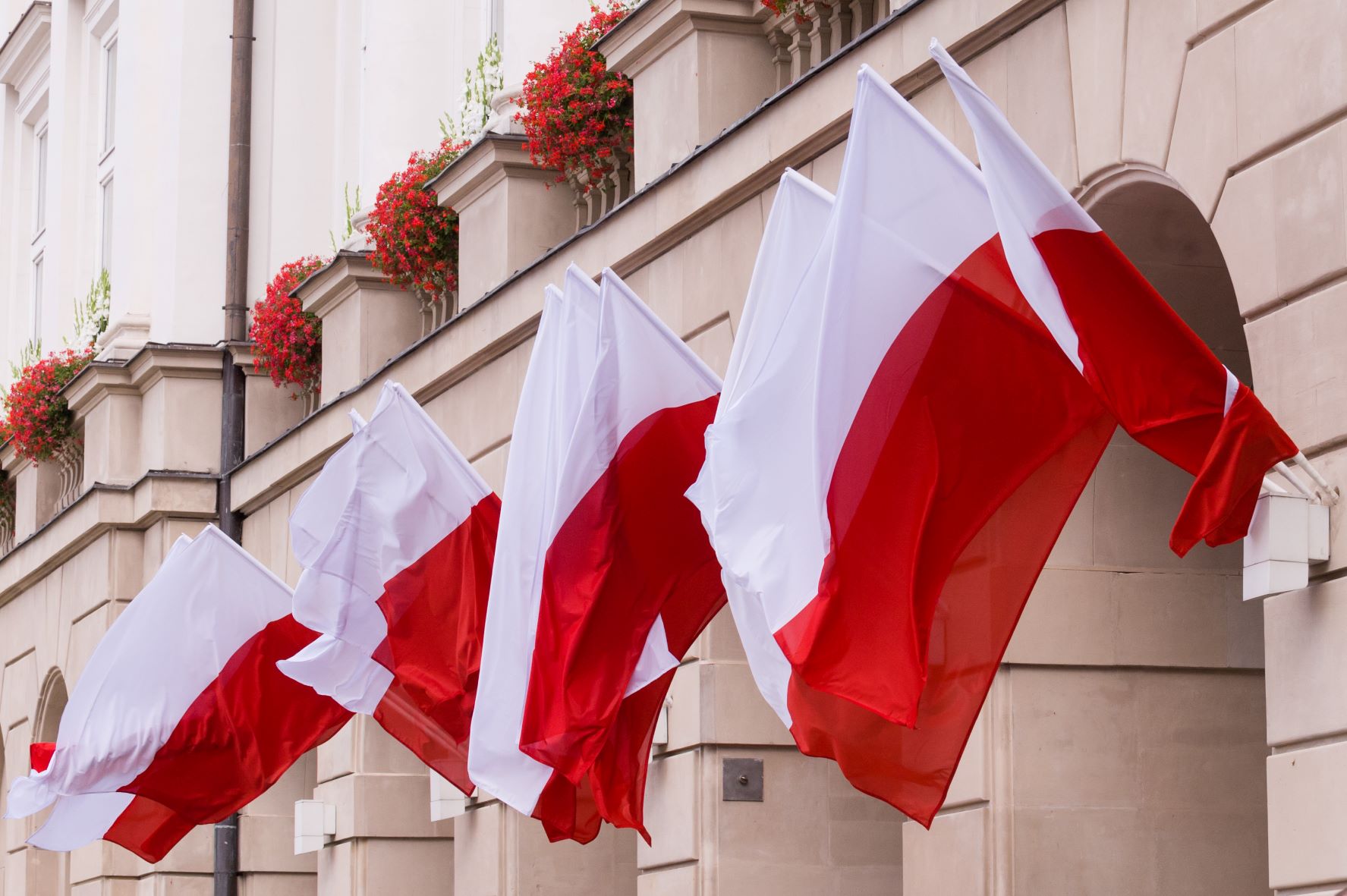 Czy masz flagę na Dzień Flagi?